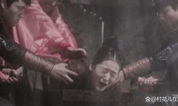 酷刑视频,视频揭示的残酷真相